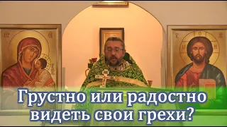 Грустно или радостно видеть свои грехи? Священник Игорь Сильченков
