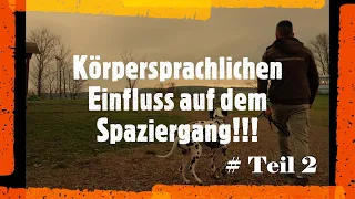 Körpersprachliche Hundeerziehung auf dem Spaziergang Hundetrainer Steve zeigt Praxisvideo 7