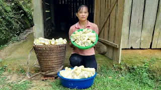 Harvest bamboo shoots to make smoked bamboo shoots, cook food for pigs | Ly Thi Ngoc