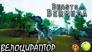 ТРУСЛИВЫЙ ИХТИОВЕНАТОР | BEASTS OF BERMUDA | ВЕЛОЦИРАПТОР ► Прохождение 2 Серия