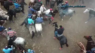 Толик палуан Калдыбай мырзанын Намыс кок атты тулпары мен огиз олди салым