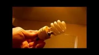 Warning about Compact Florescent Light (CFL) Bulbs