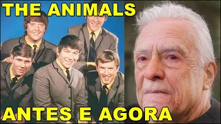 THE ANIMALS ANTES E AGORA