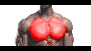 Try this 6 Chest Exercises to make your Chest Grow Big