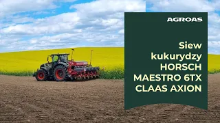 🚜Pokazy demo siewu kukurydzy siewnikiem HORSCH MAESTRO 6TX przy użyciu ciągnika CLAAS ARION 630