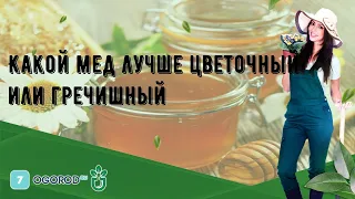 Какой мед лучше цветочный или гречишный