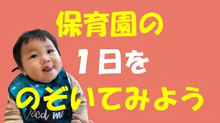 保育園の１日をのぞいてみよう！