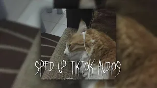 sped up tiktoks audios#12