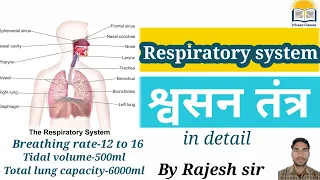 Respiratory system in hindi|श्वसन तंत्र|respiratory system|respiratory system in detail