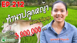 ทำนาปลูกหญ้า สร้างรายได้สูงสุด 3,000,000 บาท/ปี l  เกษตรกรไทย สร้างรายได้ Ep212