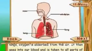 Learn Science - Class 3 - The Human Body - The Respiratory System - Animation