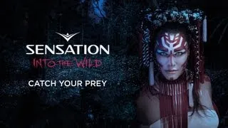 Sensation Amsterdam 'Into the Wild' live: Catch your prey