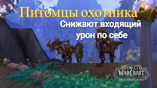 Топ Питомцы охотника (Снижение урона по себе) #worldofwarcraft #dragonflight #wow #games #gameplay