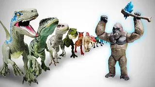MEGA EXTREME Face-off: King Kong VS. Jurassic World Predators | Velociraptor, Giganotosaurus & More!