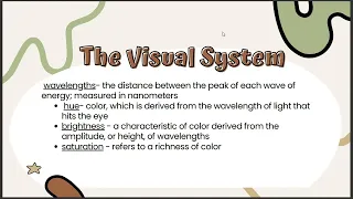 General Psychology Chapter 3: Sensation and Perception