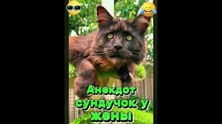 Анекдот про сундучок у жены. #анекдоты #мемы #котики #приколы #шутки #юмор #жена