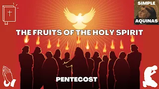 THE FRUITS OF THE HOLY SPIRIT  |  SIMPLE AQUINAS