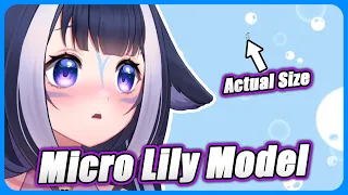 Lily's New Micro Model?