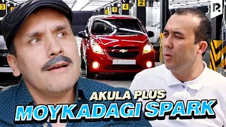 Akula Plus - Moykadagi spark (hajviy ko'rsatuv)