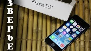 Обзор новинки iPhone 5S