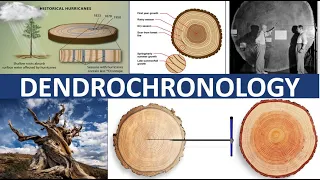 DENDROCHRONOLOGY | TREE-RING DATING