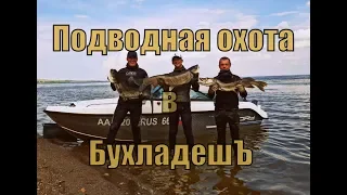 Подводная охота в "БухладешЪ" 2018