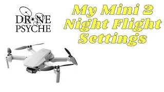 🔴My Mini 2 Night Flight Settings