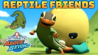 Octonauts: Above & Beyond - 🦎 Reptile Friends 🐊 | Compilation | @OctonautsandFriends