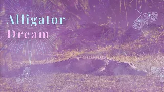 Dreams About Alligators? 💗 THIS MESSAGE IS SUPPOSED TO FIND YOU!! 💗 🌈💝 |COLLAB @Auntyflo   💗