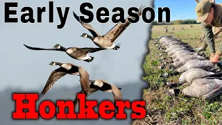 Early Season Canada Goose Hunting | Northern Minnesota