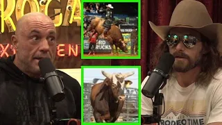 Dale Brisby Talks About Bushwacker The Baddest Most Dangerous Bull Ever & J.B Mauney