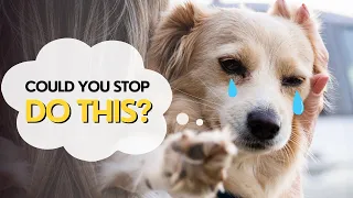 11 Human Behaviors Dogs Hate (And Wish You'd Change)