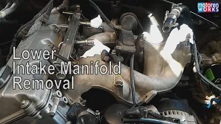 BMW E36M43 Lower Intake Manifold removal