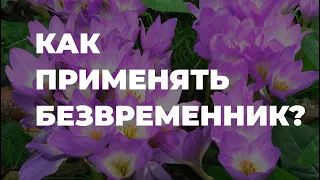 БЕЗВРЕМЕННИК. Как применять? / Захар Травник