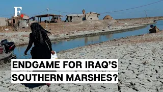 Iraq's Southern Marshes are Drying Up, Killing Centuries Old Way of Life