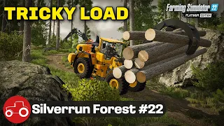 TOPPING UP THE MILL POND!! [Silverrun Forest] FS22 Let's Play # 22
