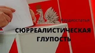 Что заводит Польшу: обзор внутренней политики