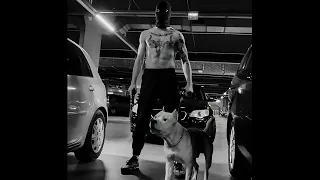 [FREE HARD] Dark Aggressive Gangsta Trap Beat - "Dynamism" Freestyle Rap Diss Type Beat 2024