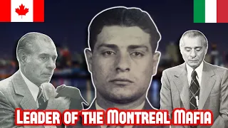 Vincenzo Cotroni: The Godfather Of Montreal (Montreal Mafia)