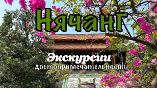 Вьетнам 2024. Цены на туры. Самый большой рынок Нячанга. #нячанг #travel