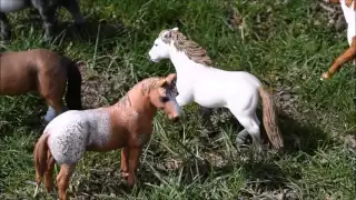 Wind Dancer The Story of One Wild Stallion part 1 Schleich movie