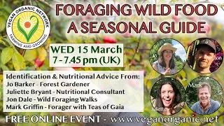 Foraging Wild Food-A Seasonal Guide