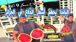 الباندا وادي سوف اليوم يتحدى تجار الدلاع ليلة عيد الفطر