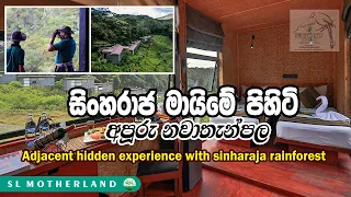 සිංහරාජ මායිමේ පිහිටි අපූරු නවාතැන්පල  | Adjacent Hidden Experience with Sinharaja Rainforest