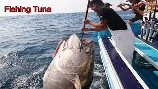 Amazing Giant Tuna Longline Fishing Video - Fishermen Easily Fishing Tuna in The Sea