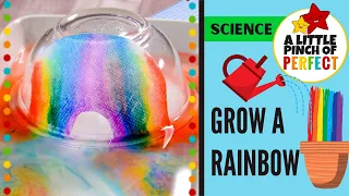 How to GROW-A-RAINBOW / Science Experiment for Kids / Easy Science / Do at Home