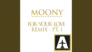 For Your Love (Funky Junction NK & Antony Reale Dublogic Remix)