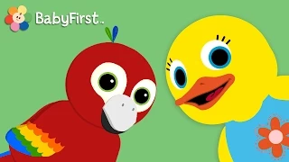 Penny the Parrot | Tillie Knock Knock | BabyFirst TV