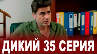 Дикий 35 серия на русском языке. Новый турецкий сериал. АНОНС