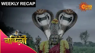 Nandini - Weekly Recap | 24 - 30 Jan 2021 | Sun Bangla TV Serial | Bengali Serial